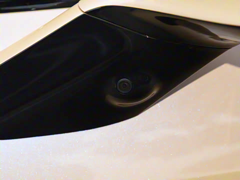 2025�� Max �����