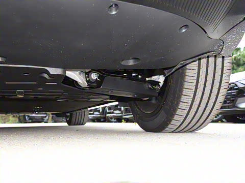 2025�� Max �����