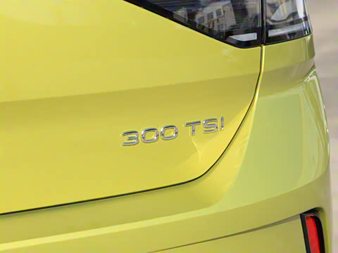 2025�� 300TSI DSG���������
