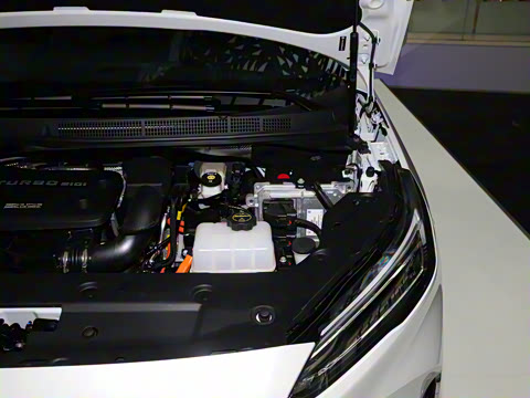 2025�� ½�� ������ 7��