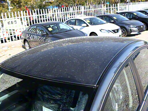 2024�� �Ŀ�� ���� 1.6XE CVT���ʰ�