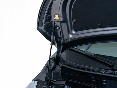 2025�� ������ɽ8