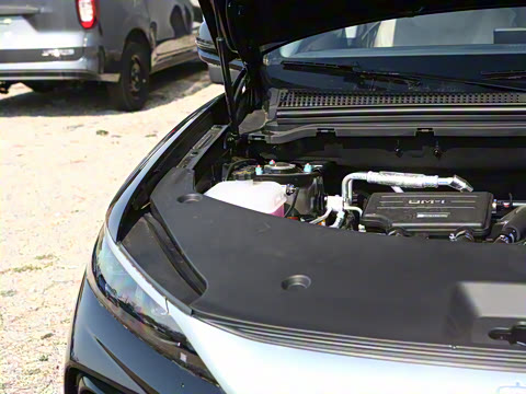 2025�� �ڶ��� DM-i 115KM��Խ��