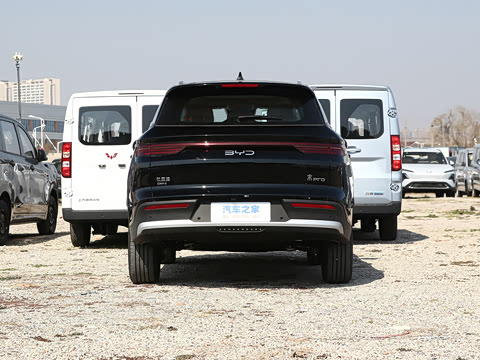 2025�� �ڶ��� DM-i 115KM��Խ��