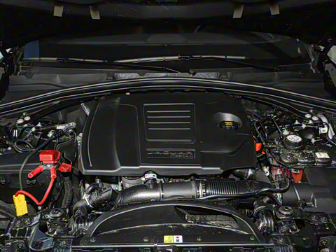 2025�� P250 R-Dynamic S