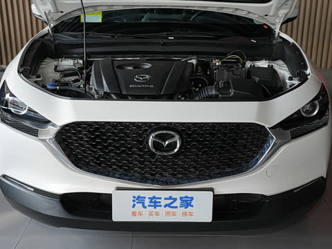 2024�� 2.0L �ֶ�������