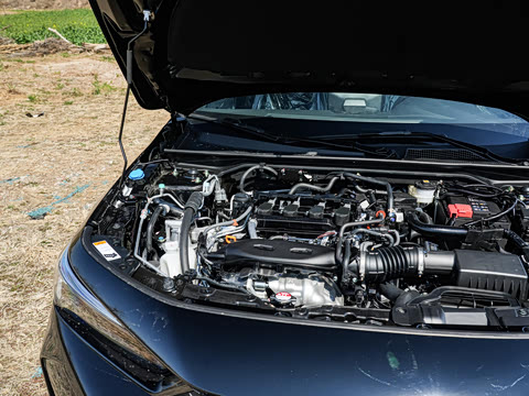 2025�� 240TURBO CVT ��ȤPro