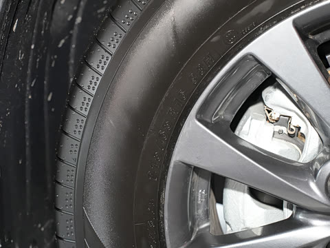 2024�� 2.0L �ֶ�������