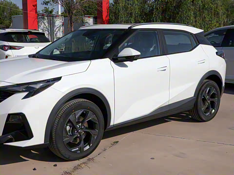 2025�� Ӱ�� 270T ������ ƽ������