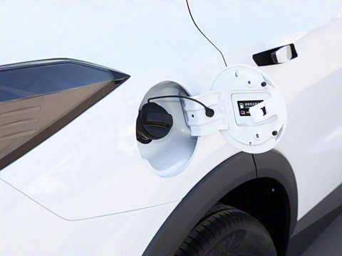 2025�� Ӱ�� 270T ������ ƽ������