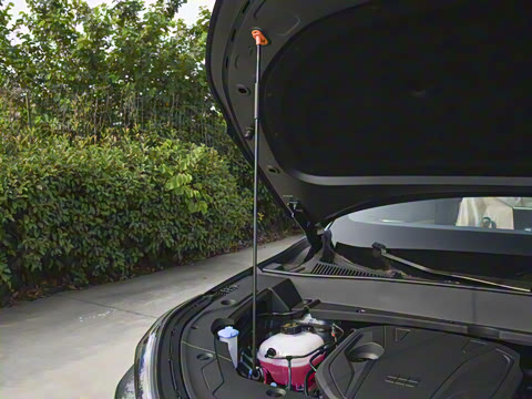 2025�� 55km ̽����