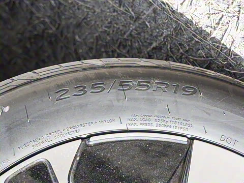 2025�� ������