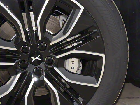 2025�� 725 �������� Max