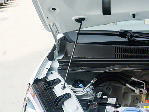 2025�� 310������