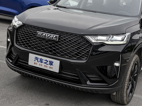 2024�� ������ 2.0T �Զ�����Max