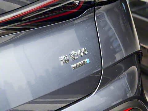 2025�� DM-i �Ǽݰ� 120KM������