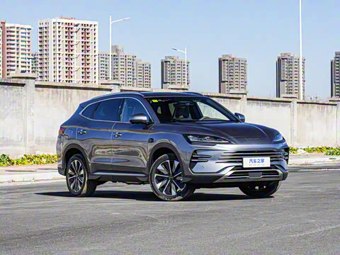 2025�� DM-i �Ǽݰ� 112KM ������