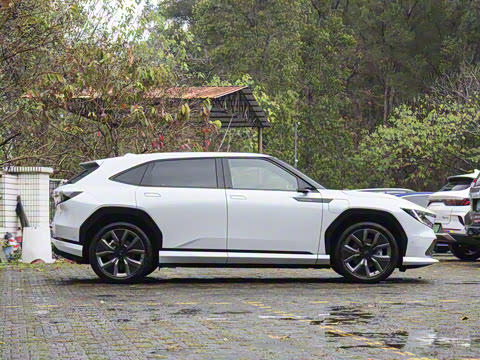 2025�� ����������Max