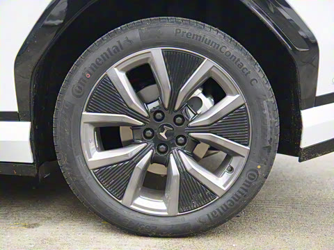 2025�� ����������Max