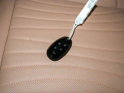 2024�� ������ 1.5T  252KM �콢�� ��Ԫ�