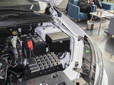 2025�� 1.5T �ֶ���Խ�� 7��