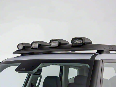 2024�� ����������