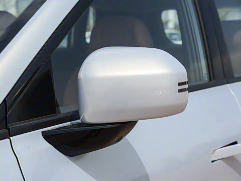 2025�� ���������� 650 ������