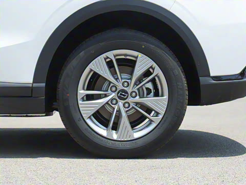 2025�� 445km ��ѡ��