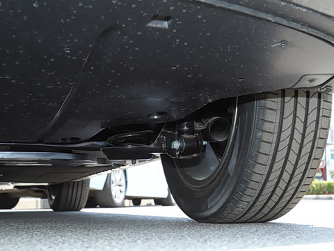 2025�� 445km ��ѡ��