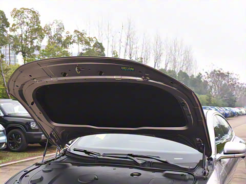 2025�� ��������� 515�����