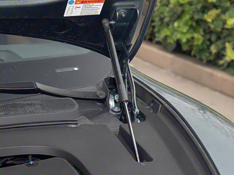 2025�� DM-p ���������״��콢��