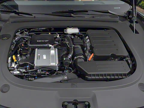 2025�� DM-p ���������״��콢��