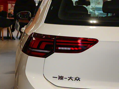 2025�� 300TSI Pro