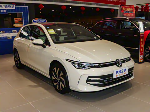 2025�� 300TSI Pro