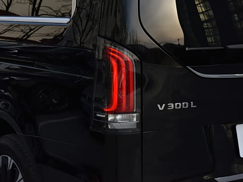 2025�� 2.0T V�������ֵ������