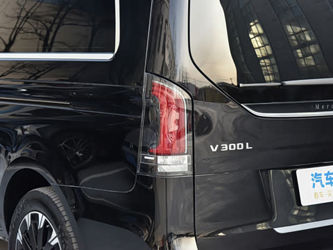 2025�� 2.0T V�������ֵ������