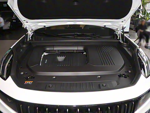 2025�� 2.0TD EM-P ����Max ����