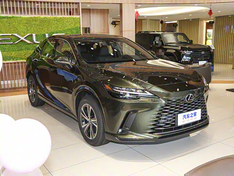 2025�� 300 ����������