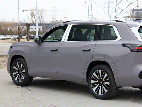 2025�� ;�� Pro 450TSI �����ݺ��