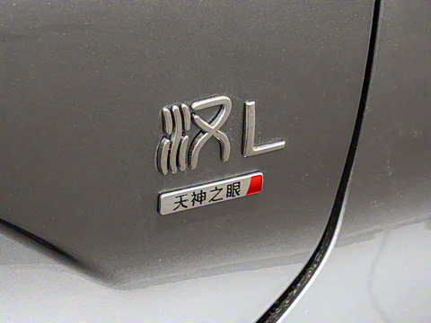 2025�� DM-i 200KM�����״�������