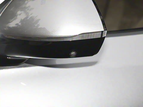 2025�� Max ������