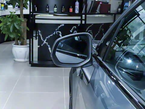 2025�� Renew 1.5T Pro