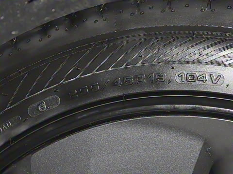 2025�� ����������