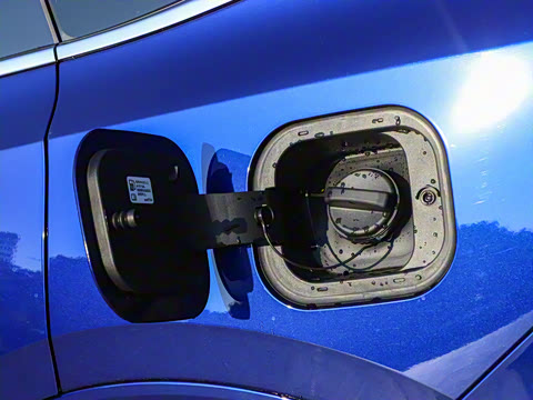 2025�� ������Plus ����Avenir��ά��