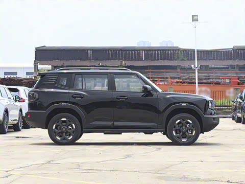 2025�� 2.0TD XWD��Խ