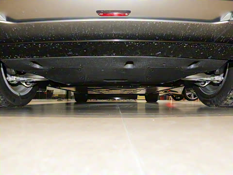 2024�� ˫�������������