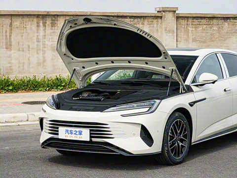 2025�� �Ǽݰ� DM-i 1.5L 125km �����