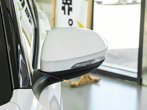 2025�� �Ŀ� 300TSI DSG���������