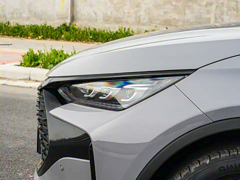 2025�� �Ǽݰ� DM-i 115KM �콢��