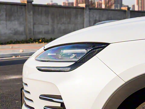 2025�� DM-i �Ǽݰ� 112KM �����